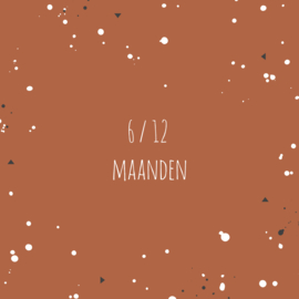 6/12 maanden