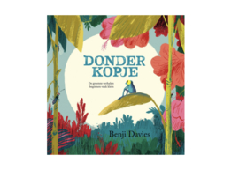 *(kartonboekje) Donderkopje - Benji Davies*
