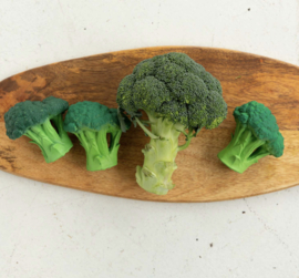 Brucy the broccoli - Oli & Carol