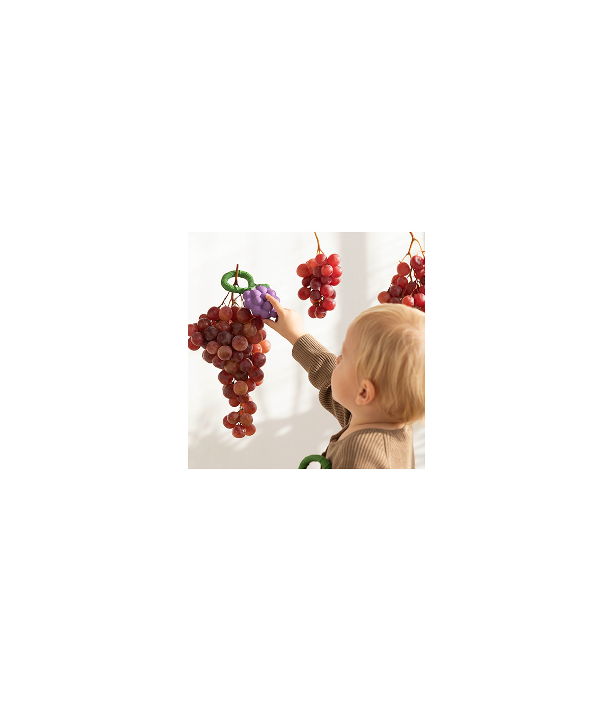 *Grape rammelaar - Oli & Carol*