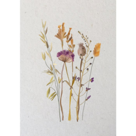 *Droogbloemen - Joeff Design*