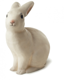 *Konijnenlamp - Egmont Toys*