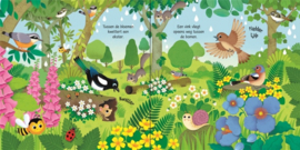 *Vogels - Usborne geluidsboekje*