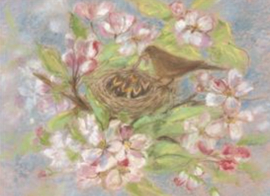 *Merelnest - Marjan van Zeyl*