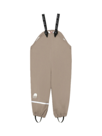 *Regenbroek fungi - CeLaVi*