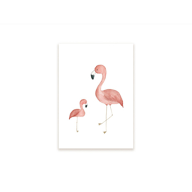 *Flamingo's - Appeloogje*