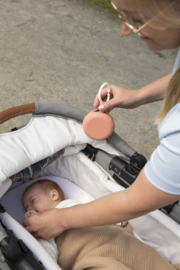 *Yummy grab & go flower - Baby on the move*