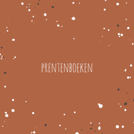 prentenboeken