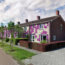 Bloemengevels in plantenstraten, Lent