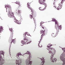 Hippocamp - Purple