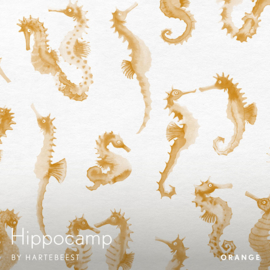 Hippocamp - Orange