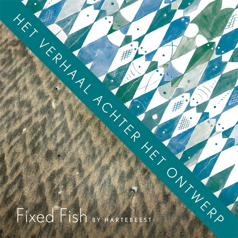 Fixed Fish: het verhaal achter het ontwerp