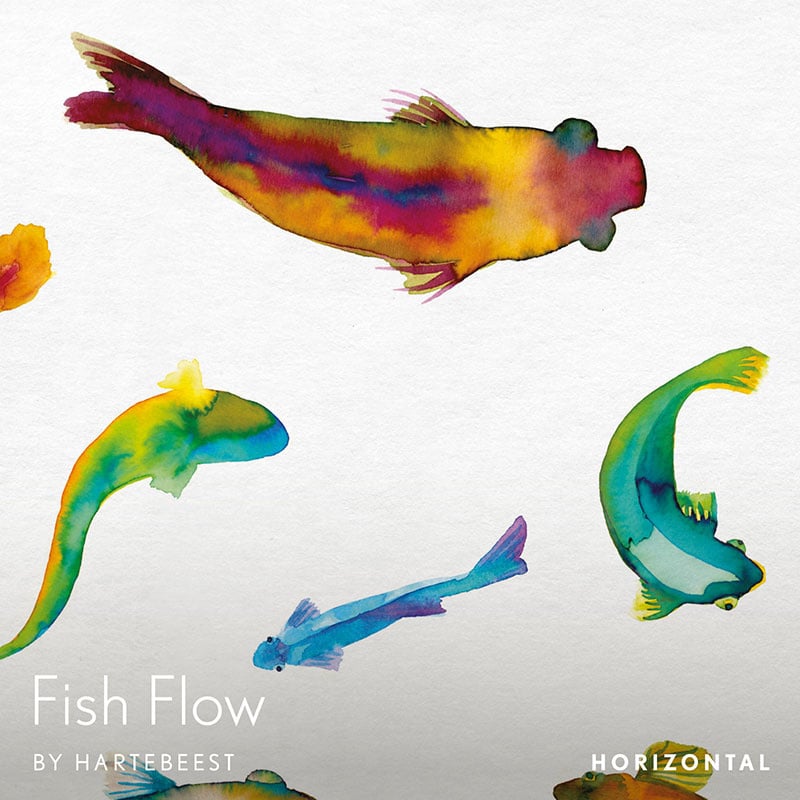 Fish Flow - Horizontal