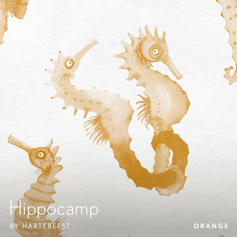 Hippocamp - Orange