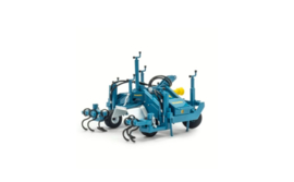 Imants Asparagus IRF