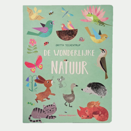 Flapjesboek-De wonderlijke natuur-Veltman uitgevers