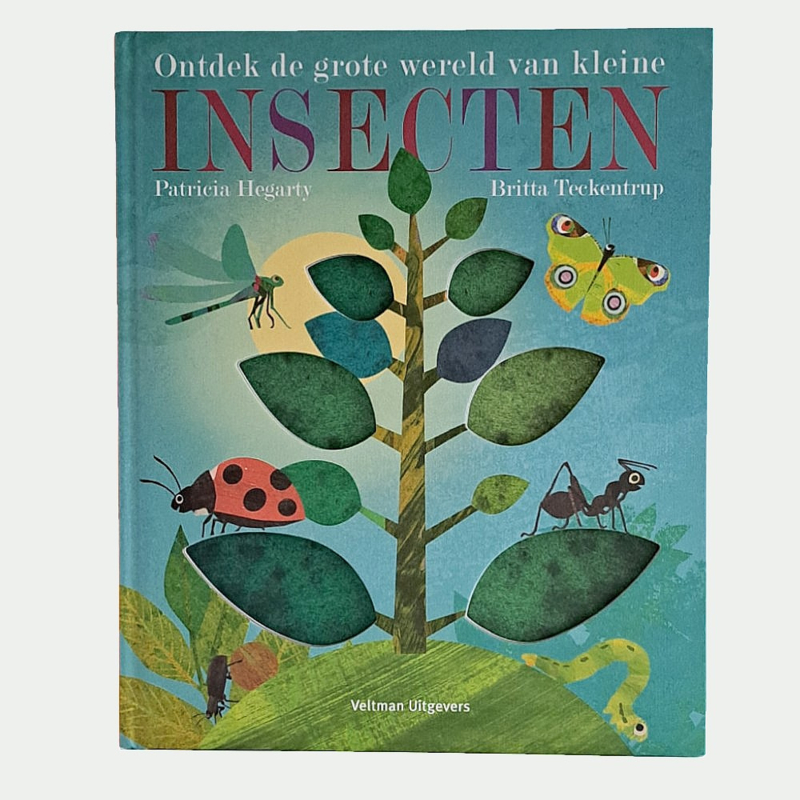 Ontdek de grote wereld van kleine insecten-Veltman uitgevers