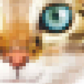 PixelPuss