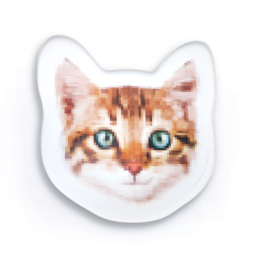 PixelPuss