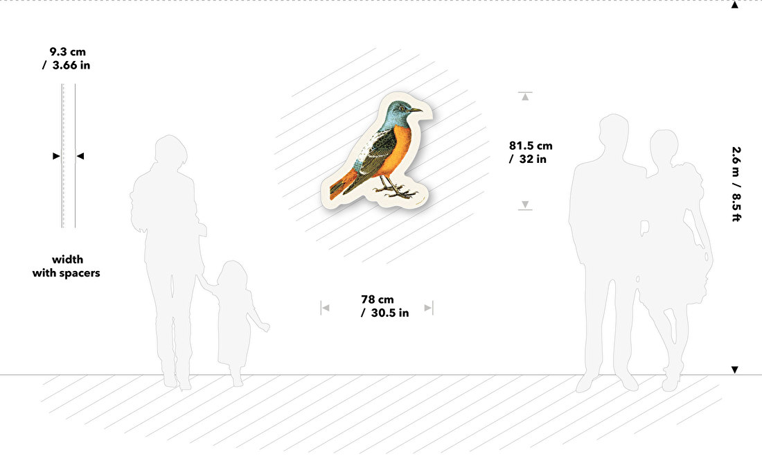 measurements_syruppond_bird.jpg