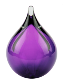 As - Bubble * Purple