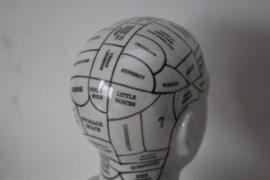 Porseleinen hoofd met phrenologie (the Human mind)