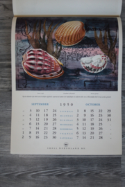 Originele Shell kalender 1950 - ongebruikt