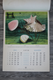 Originele Shell kalender 1950 - ongebruikt