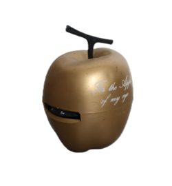transistorradio - appel "for the apple of my eye"