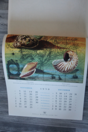 Originele Shell kalender 1950 - ongebruikt