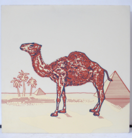 Camel sigaretten - overlap van een lichtbak