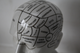 Porseleinen hoofd met phrenologie (the Human mind)