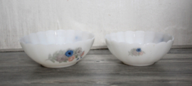 Acropal set van 2 schalen - Petunia