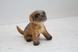 Goebel - Boxer puppy 30507