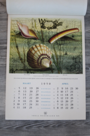 Originele Shell kalender 1950 - ongebruikt