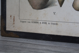 Schoolplaat - Bijbelsche platen - Olie en Wijn, 19e eeuw