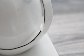 Seltmann Weiden Saturnus suikerpot en creamer voor DE/Douwe Egberts