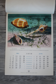 Originele Shell kalender 1950 - ongebruikt