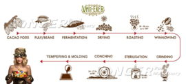 The Making of Onze Luxe Chocoladetruffels