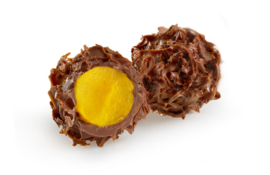 Crocus Saffron (Saffraan)