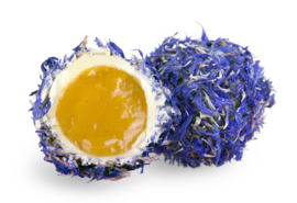Cornflower Buckthorn (duindoorn & Korenbloem)
