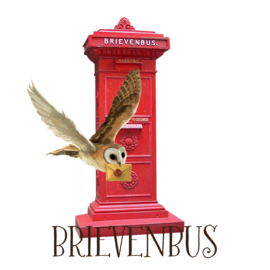 BRIEVENBUS PAKKETJES