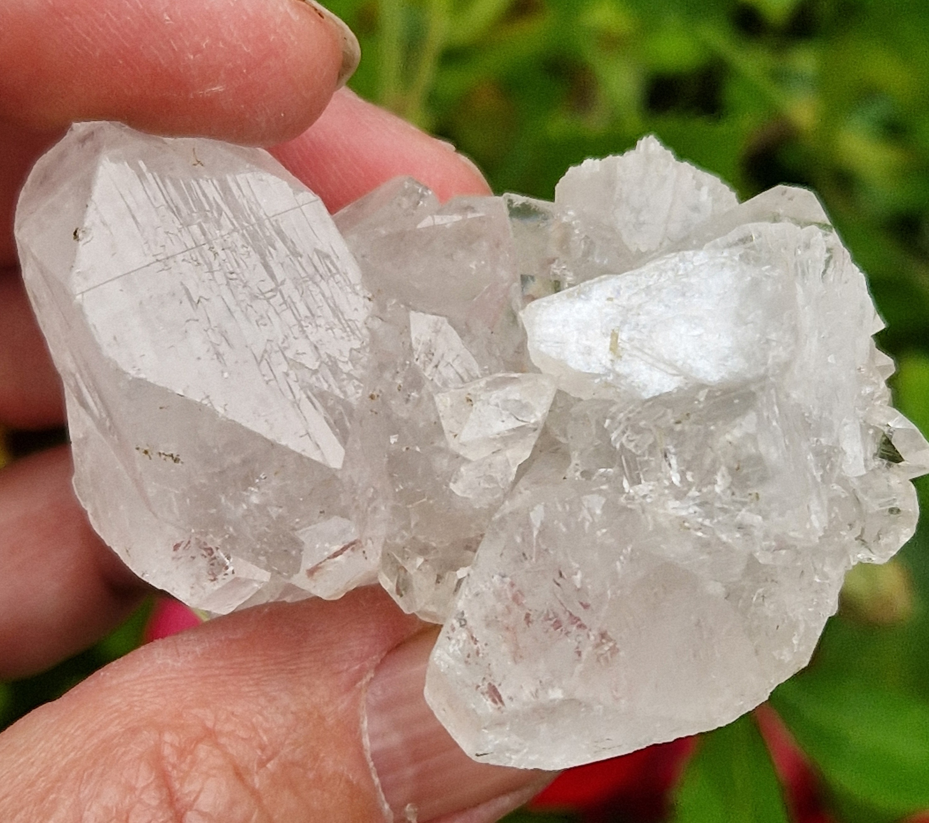 Spiegel apofyliet cluster