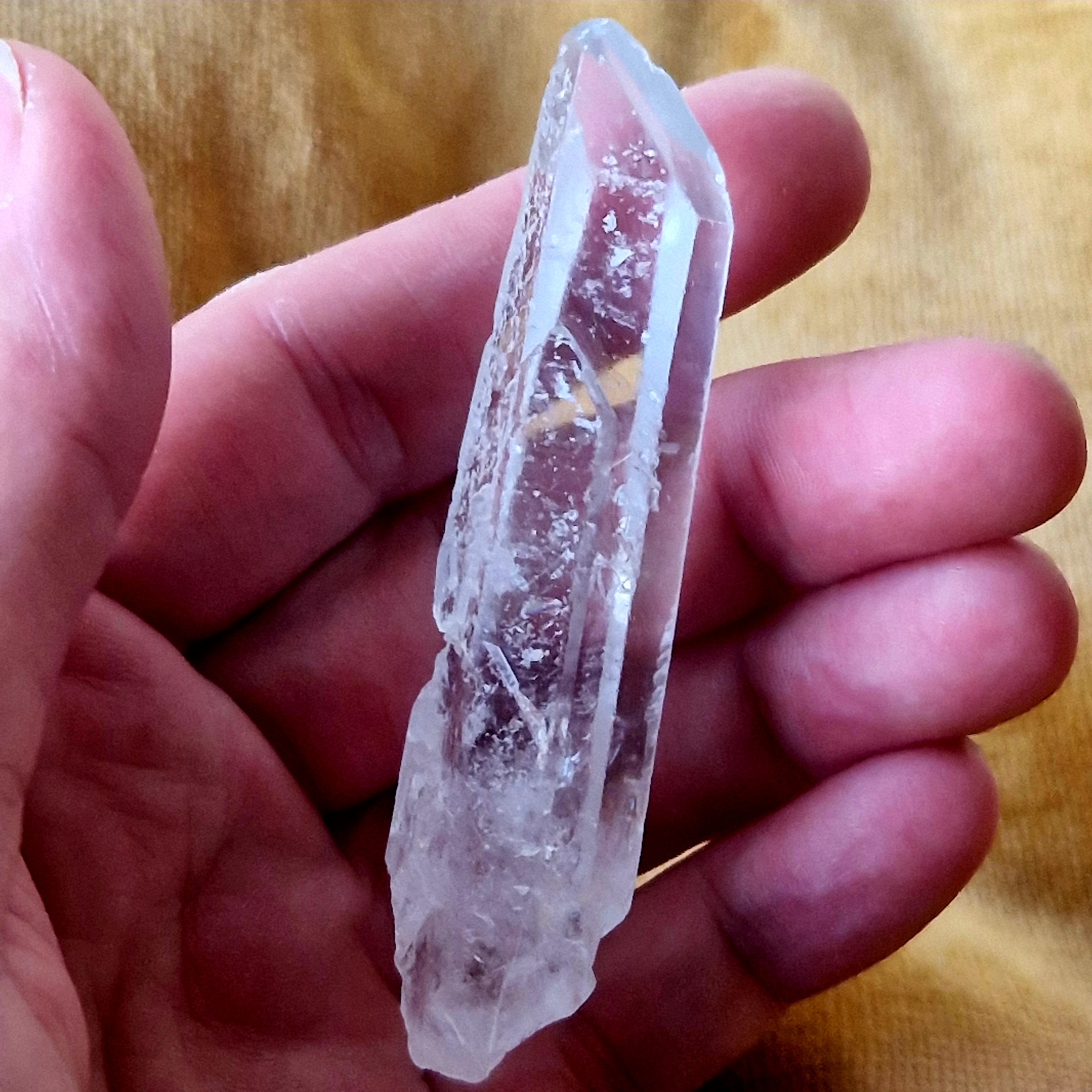 Lemurian nr 6