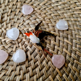 Zwaluw broche