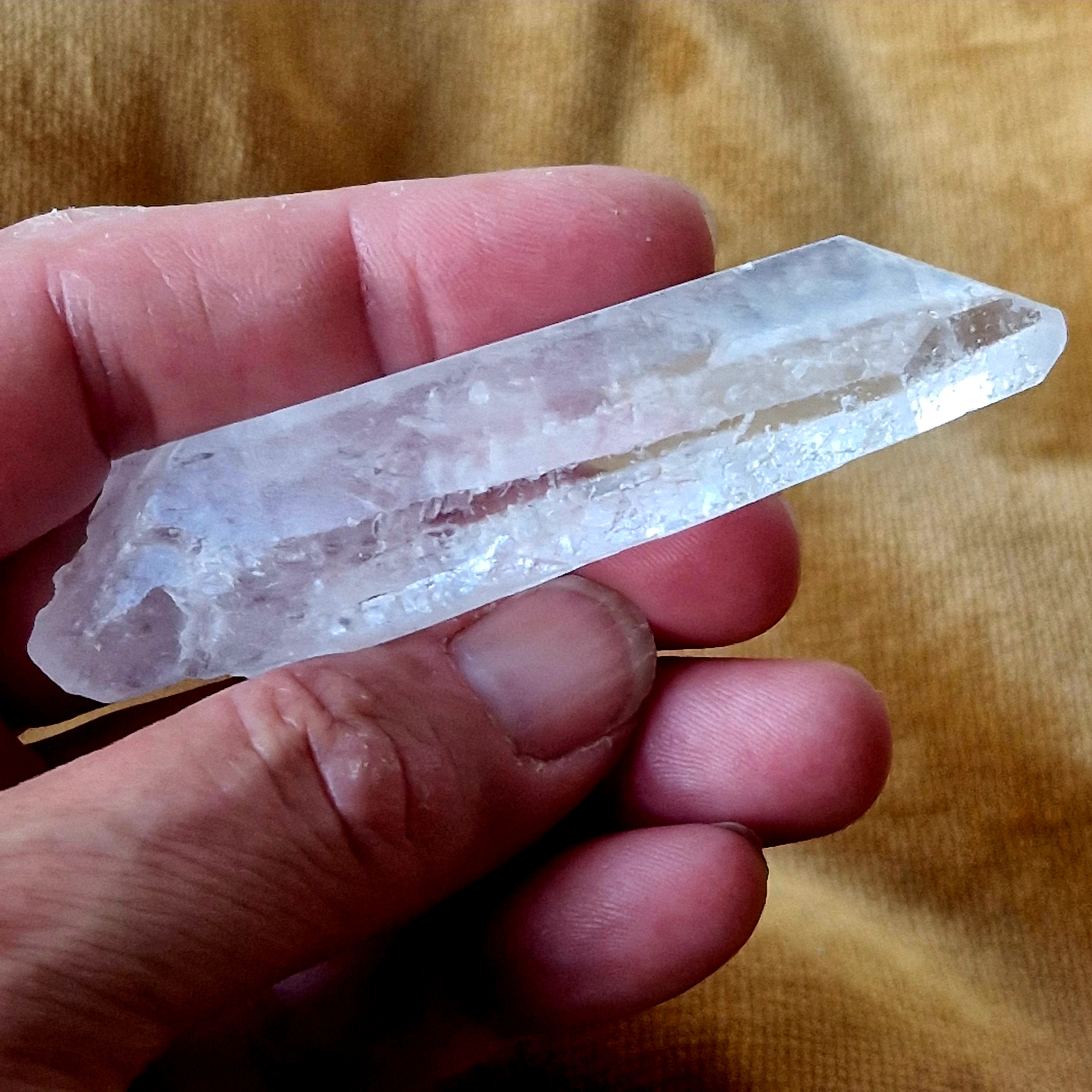 Lemurian nr 6