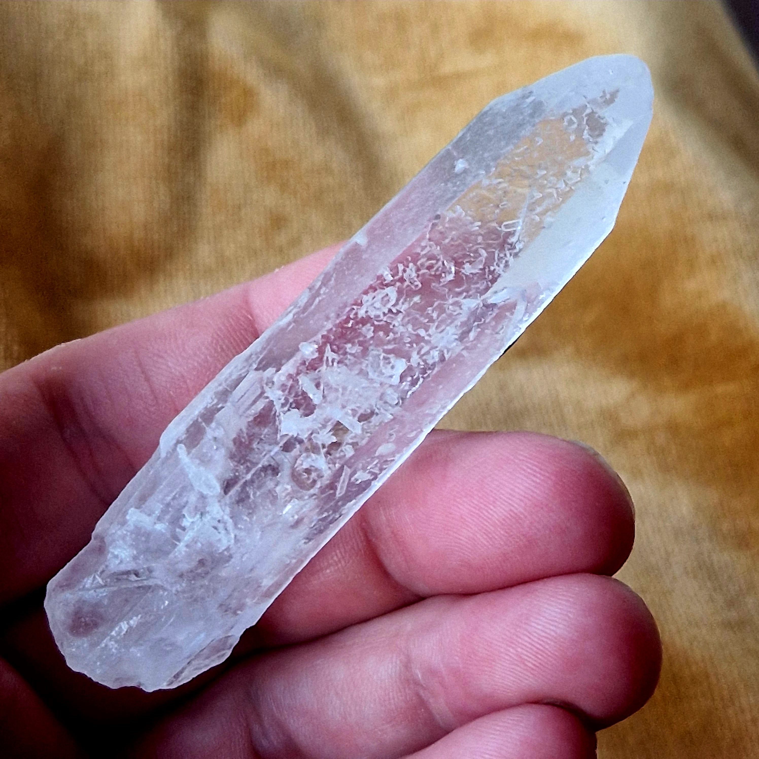 Lemurian nr 6