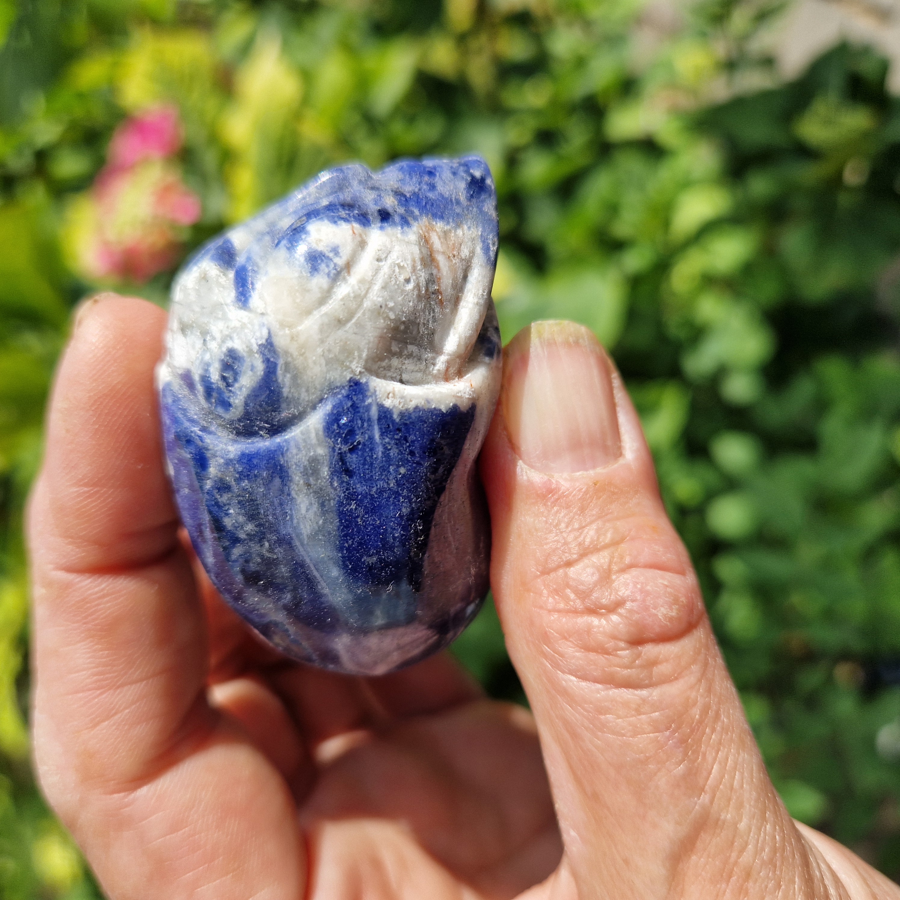 Starbeing Sodaliet
