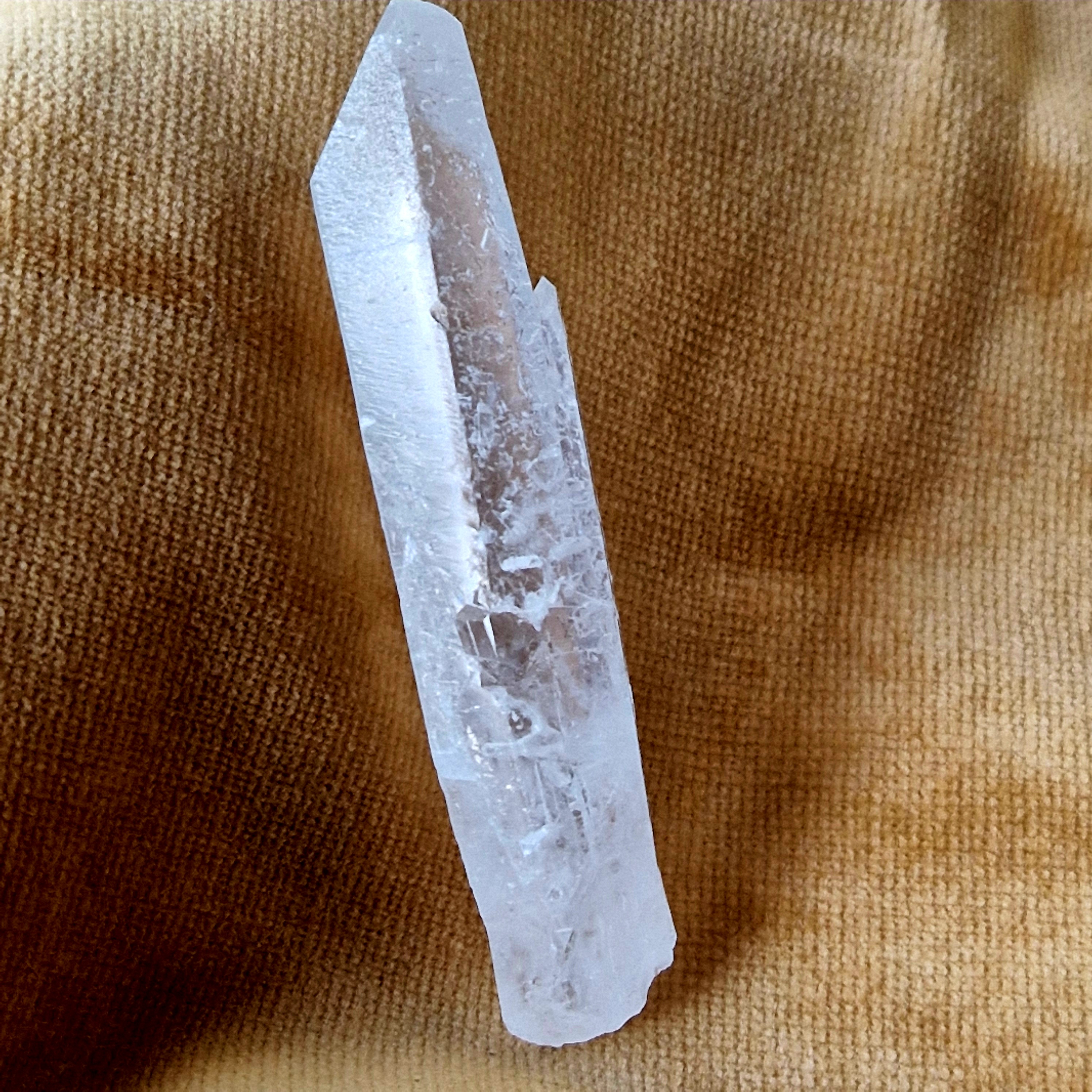 Lemurian nr 6