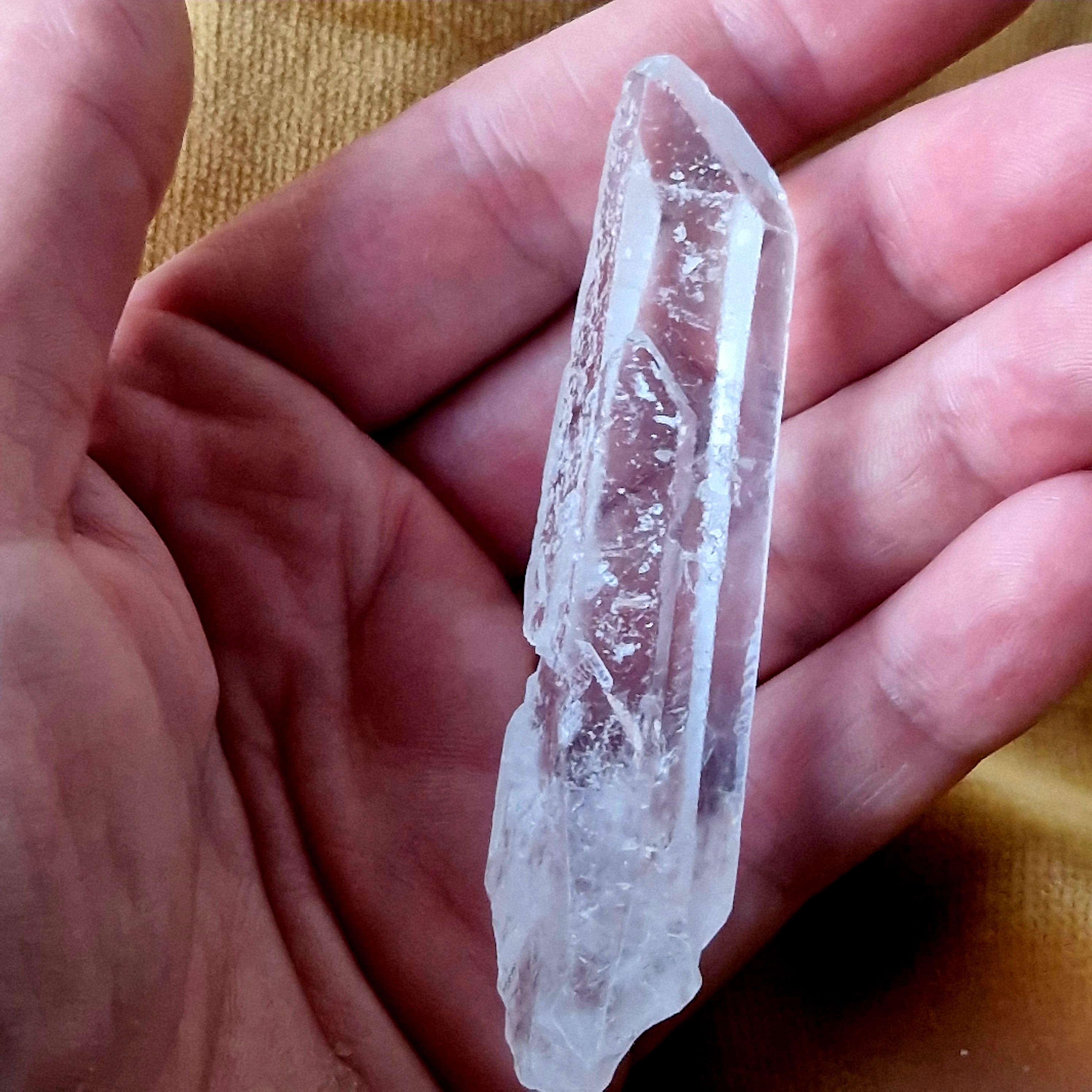 Lemurian nr 6
